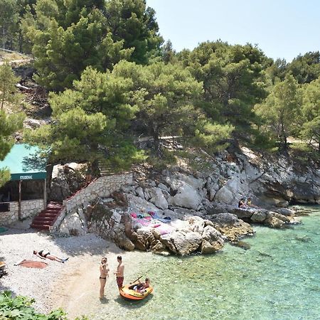 Apartments And Room Mate-Mare Primošten Kültér fotó